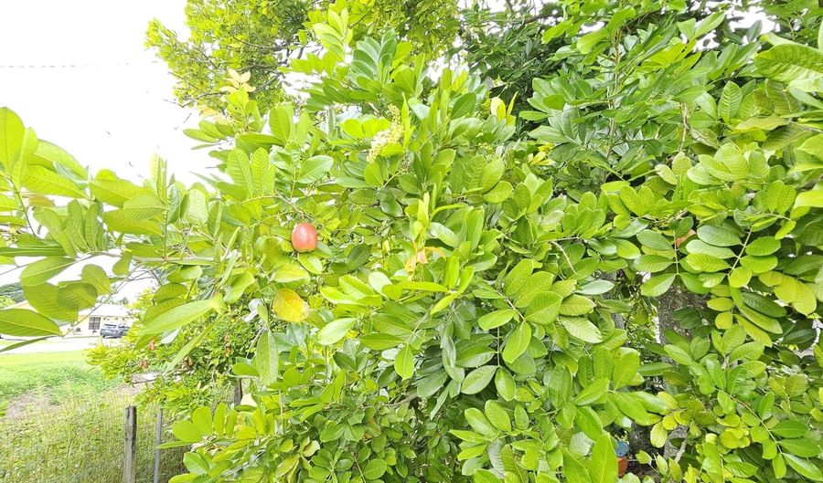 632 SW 13th St, Belle Glade, FL 33430 - 3 Beds, 2 Bath