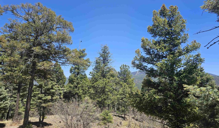16 San Francisco Ter, Angel Fire, NM 87710 - 4 Beds, 3 Bath