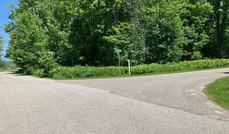 TBD Maple Isle Court Unit 32, Alanson, MI 49706 - 0 Beds, 0 Bath