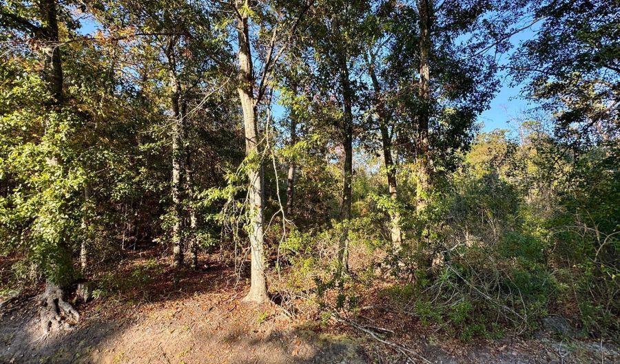 Sycamore Street, Bay St. Louis, MS 39520 - 0 Beds, 0 Bath