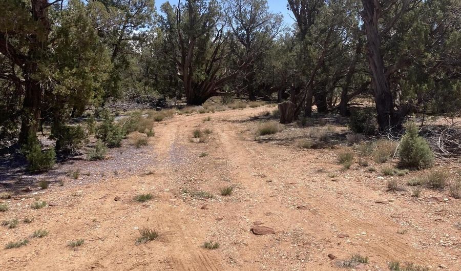 00 Off Of Rainy Rd, Ash Fork, AZ 86320 - 0 Beds, 0 Bath
