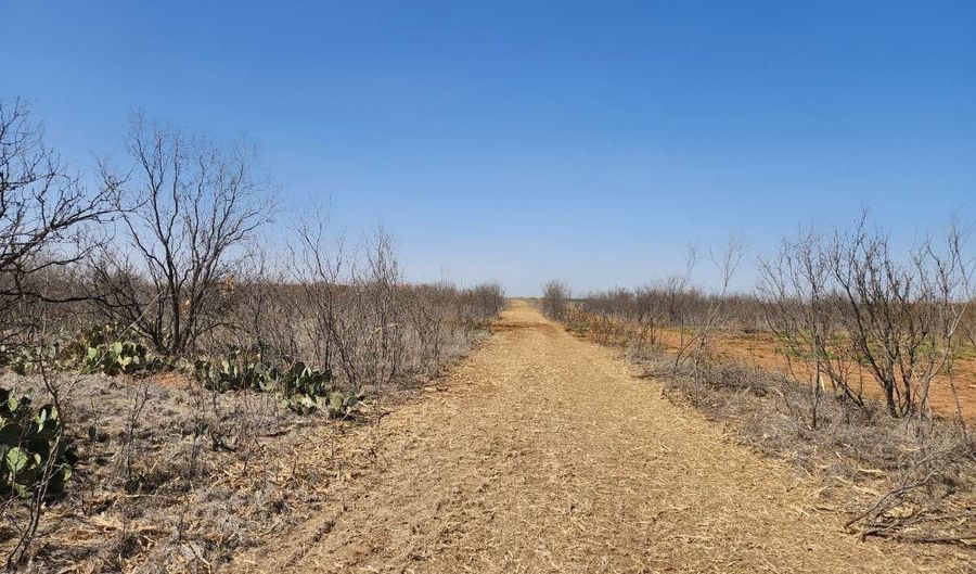 12929 County Road 356, Anson, TX 79501 - 0 Beds, 0 Bath