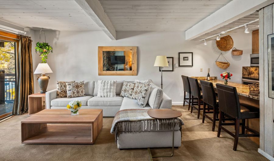 131 E Durant Ave 202, Aspen, CO 81611 - 2 Beds, 2 Bath