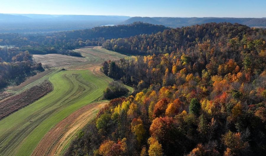 TBD Bear Pen Rd, Arkansaw, WI 54721 - 0 Beds, 0 Bath