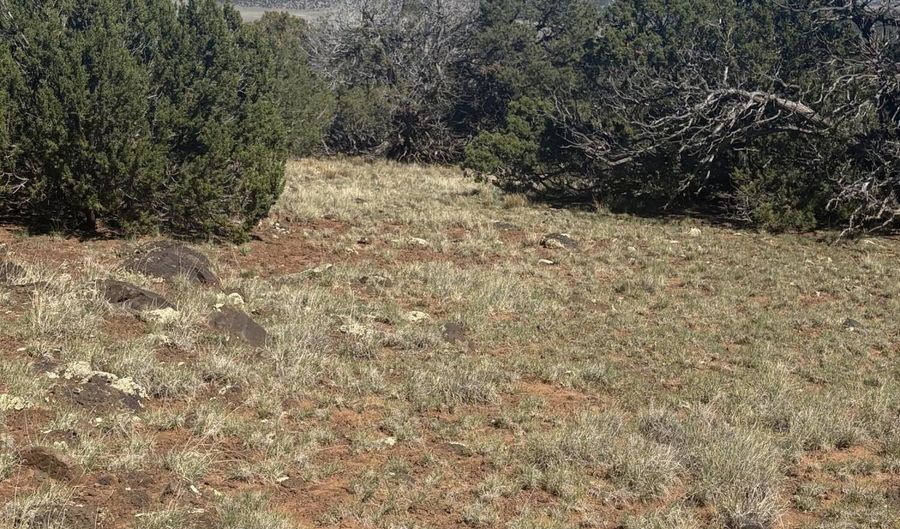 29 B County Road N 8339, Concho, AZ 85924 - 0 Beds, 0 Bath