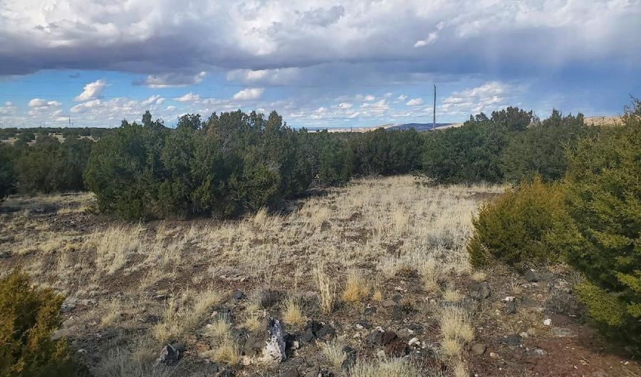 CR 5166, Concho, AZ 85924 - 0 Beds, 0 Bath