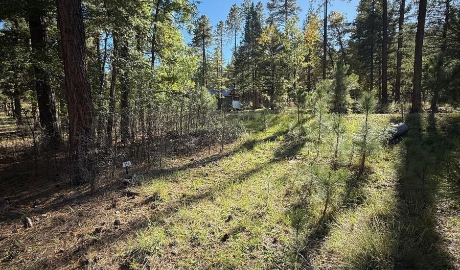 7 2190, Alpine, AZ 85920 - 0 Beds, 0 Bath