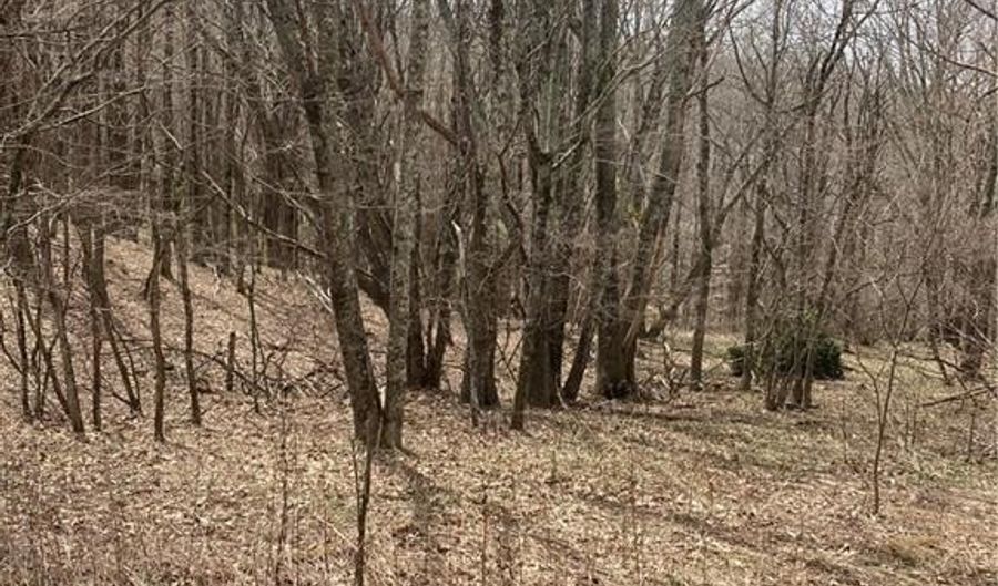 Tbd Old Mountain Road, Banner Elk, NC 28604 - 0 Beds, 0 Bath
