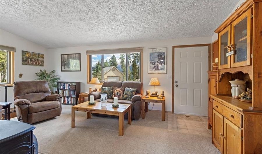 599 AMERICAN Way, Breckenridge, CO 80424 - 3 Beds, 2 Bath