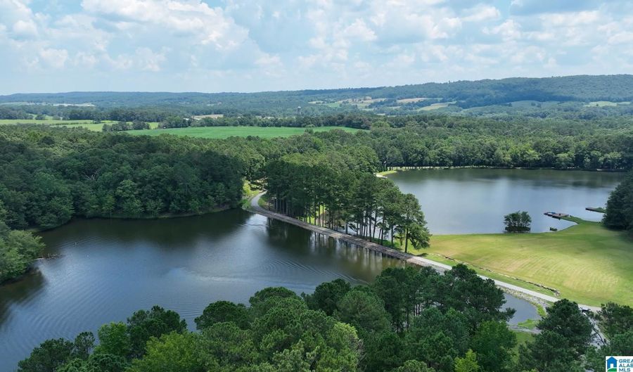 411 DR JENKINS Ln, Altoona, AL 35952 - 0 Beds, 0 Bath