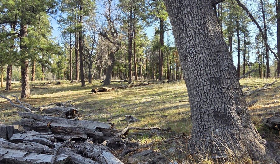 124 County Road 2117, Alpine, AZ 85920 - 0 Beds, 0 Bath