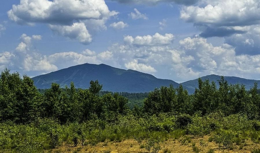 Lynburke Road lot 2, Burke, VT 05871 - 0 Beds, 0 Bath