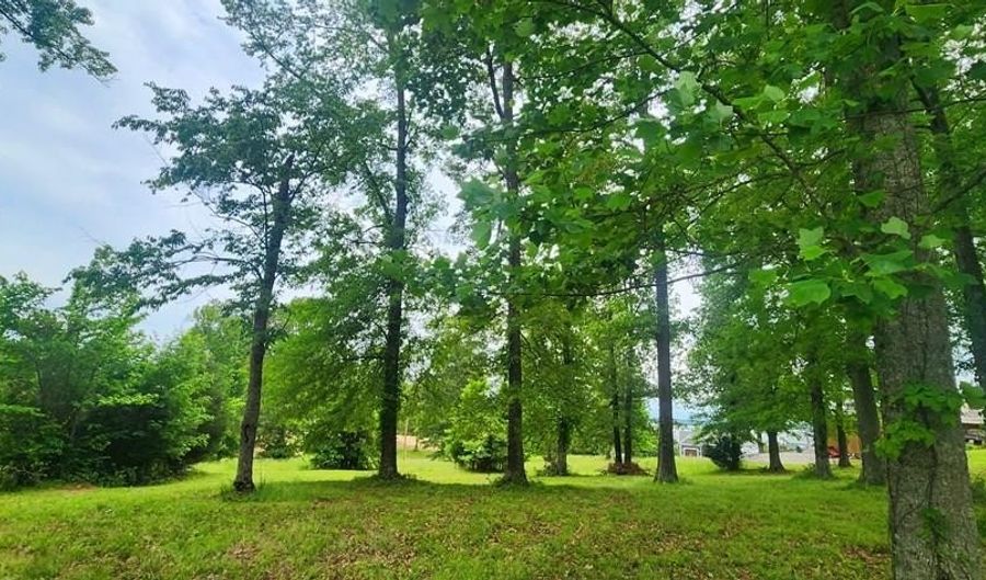 Overlook Ridge, Big Sandy, TN 38221 - 0 Beds, 0 Bath