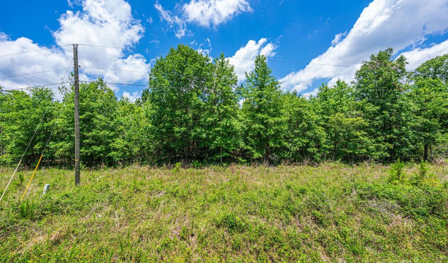 1 Park Cir, Branchville, SC 29432 - 0 Beds, 0 Bath