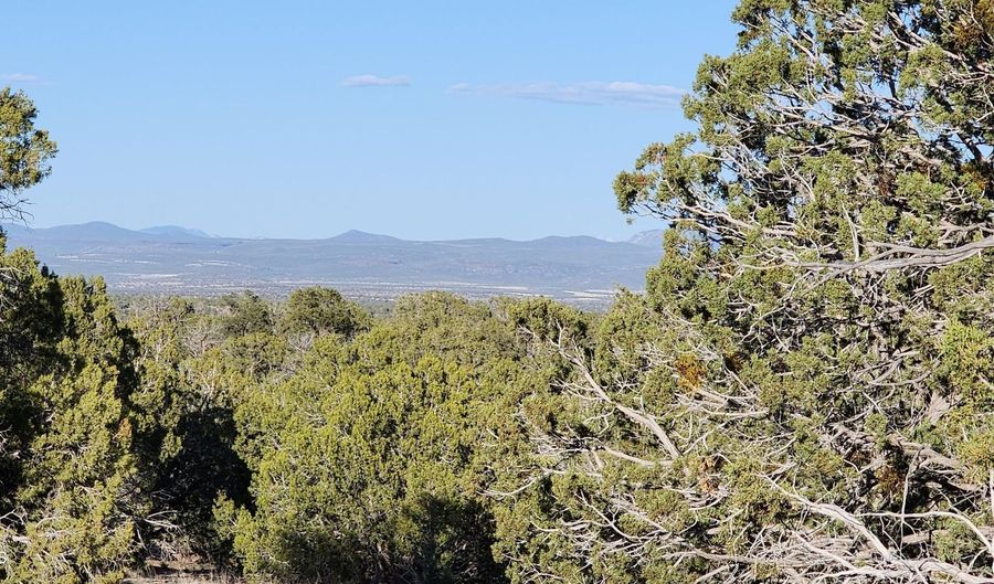 408 N2 Off Caprica Rd, Ash Fork, AZ 86320 - 0 Beds, 0 Bath