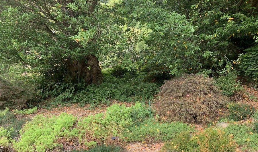 98465 N BANK CHETCO RIVER Rd, Brookings, OR 97415 - 3 Beds, 2 Bath