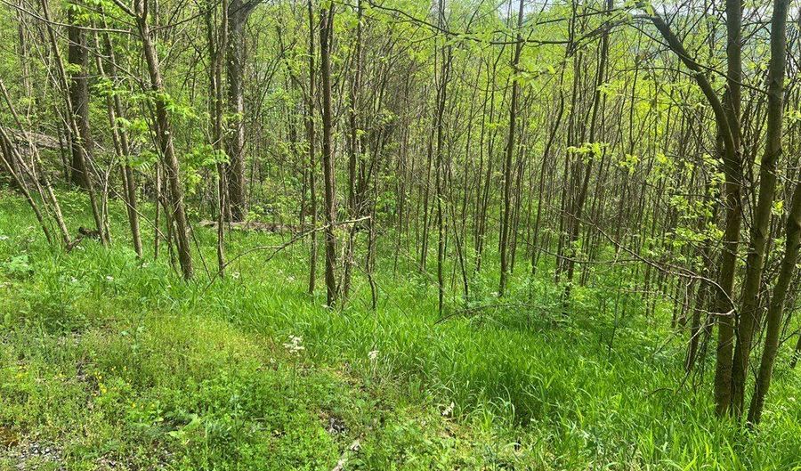 Eli Ln lot 27, Baxter, TN 38544 - 0 Beds, 0 Bath