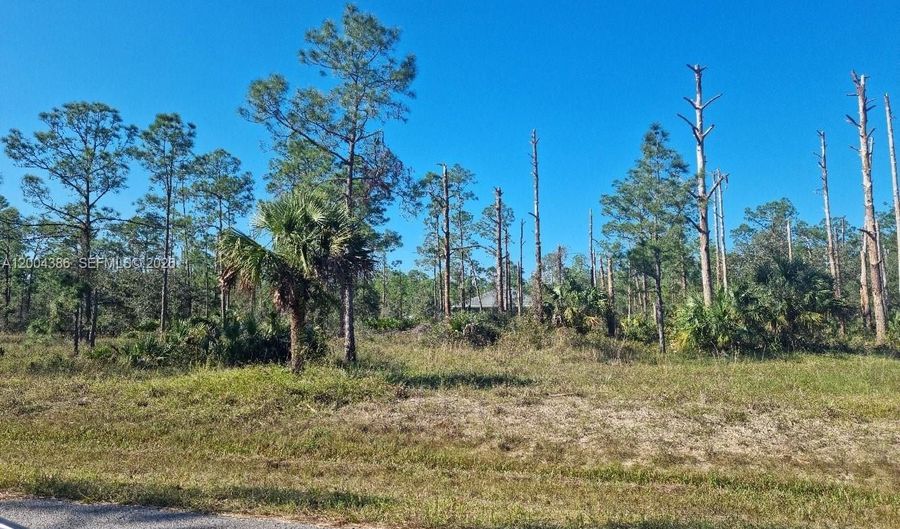 2309 Wellington Ave, Alva, FL 33920 - 0 Beds, 0 Bath
