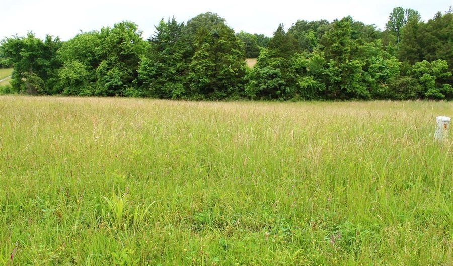 679 Calvert Rd, Adolphus, KY 42120 - 0 Beds, 0 Bath