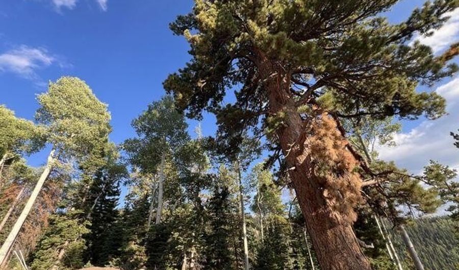 Ponderosa West Village, Beaver, UT 84713 - 0 Beds, 0 Bath
