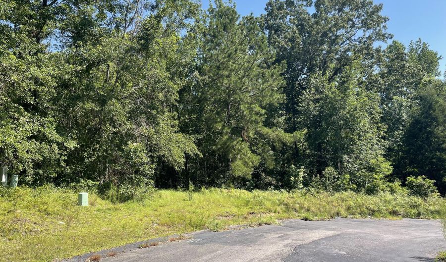 Madelyn Drive 1.18 Acre, Burnettown, SC 29829 - 0 Beds, 0 Bath