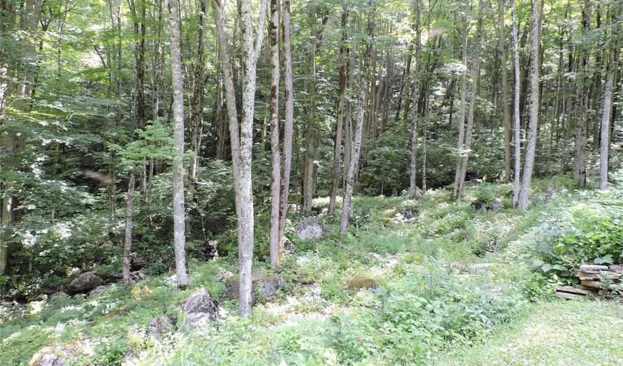 103 Chucks Ln, Bakersville, NC 28705 - 4 Beds, 4 Bath