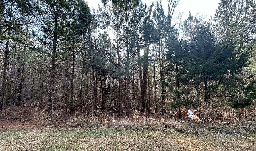 1106 LONGLEAF Way, Lincolnton, GA 30817 - 0 Beds, 0 Bath
