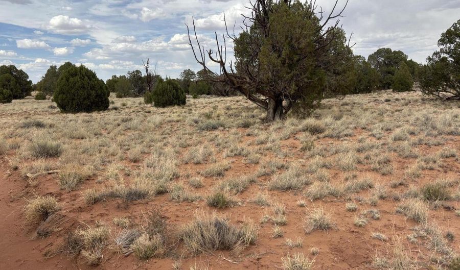 Tbd N5505, Concho, AZ 85924 - 0 Beds, 0 Bath