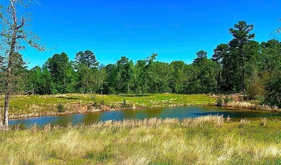 868 County Road 2920, Alba, TX 75410 - 0 Beds, 0 Bath