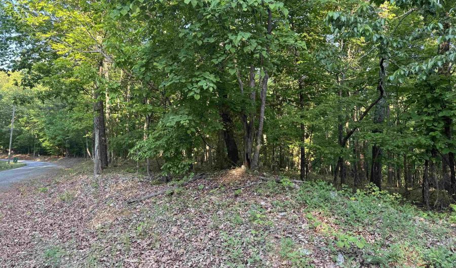 0 DAVIS ACRES Dr 72 & 73, Alpine, AL 35014 - 0 Beds, 0 Bath