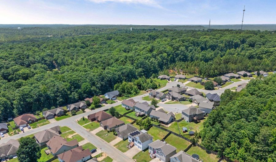 1007 Clinton Ct, Alexander, AR 72002 - 3 Beds, 2 Bath