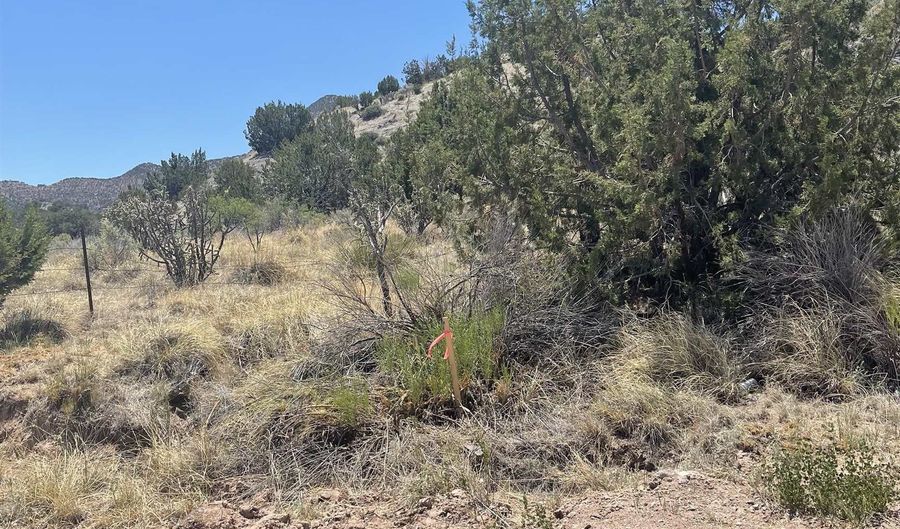 Round Mountain Rd 40 acres, Bent, NM 88314 - 0 Beds, 0 Bath