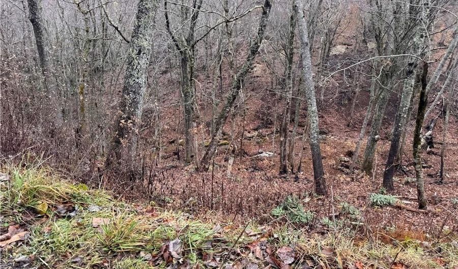 Lots 39 And 40 Snow Ridge Road, Banner Elk, NC 28604 - 0 Beds, 0 Bath