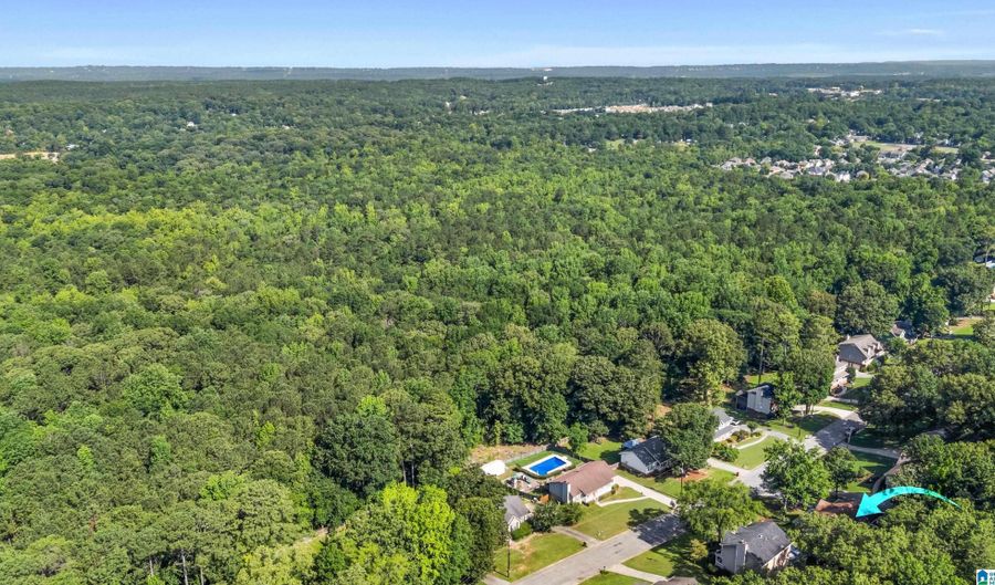 1020 INDEPENDENCE Ct, Alabaster, AL 35007 - 3 Beds, 3 Bath