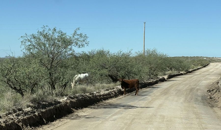 Bell Road, Benson, AZ 85602 - 0 Beds, 0 Bath