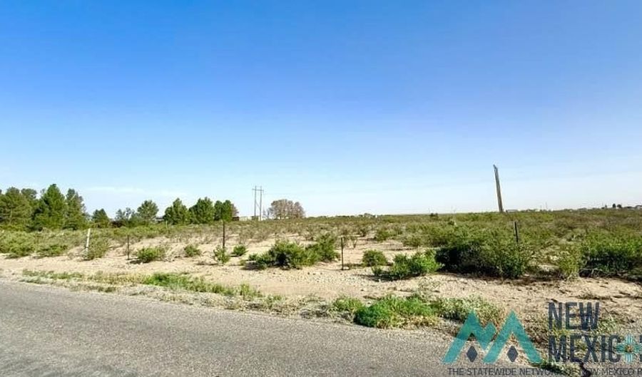 Mcfarland Road, Carlsbad, NM 88220 - 0 Beds, 0 Bath