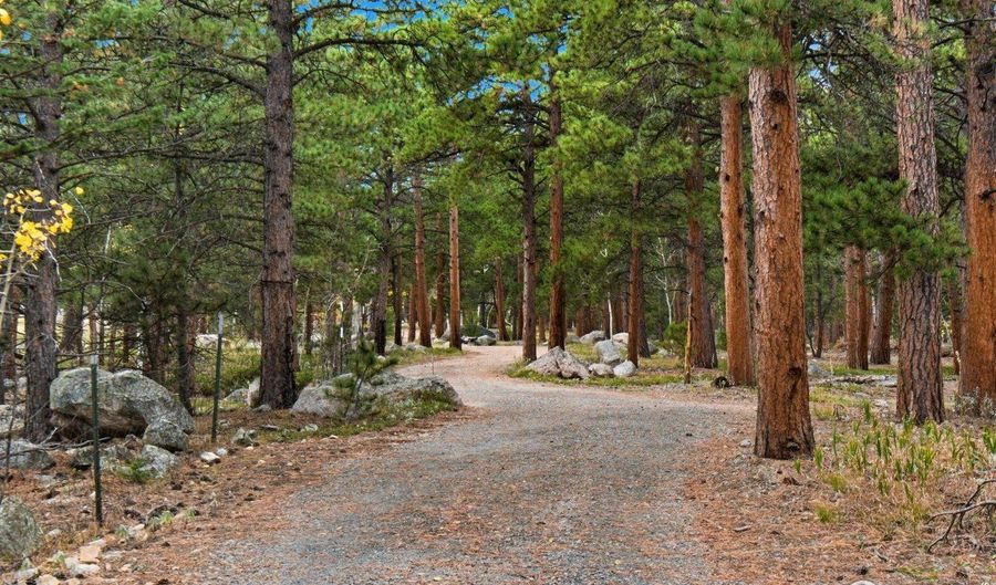 441 County Road 84 W, Allenspark, CO 80510 - 0 Beds, 0 Bath