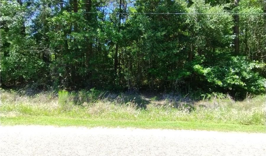 Maura Drive, Bayou La Batre, AL 36509 - 0 Beds, 0 Bath