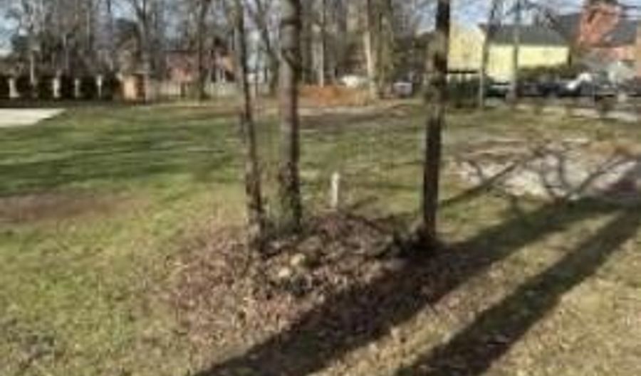 Lots 1 & 2 S Second St, Bardstown, KY 40004 - 0 Beds, 0 Bath