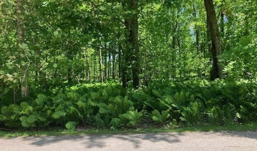 TBD MAPLE ISLE COURT UNIT 34, Alanson, MI 49706 - 0 Beds, 0 Bath