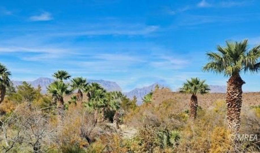 4855 Gold Butte Rd, Bunkerville, NV 89007 - 0 Beds, 0 Bath