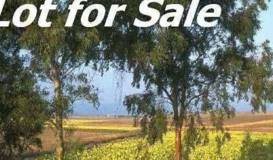 3604 POPLAR Ln, Adamsville, AL 35005 - 0 Beds, 0 Bath