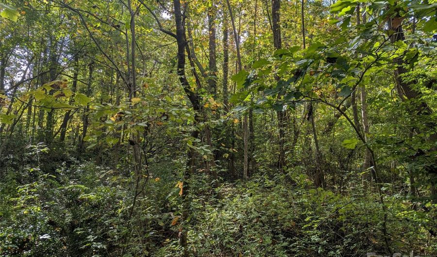 99999 Taft Ave, Asheville, NC 28803 - 0 Beds, 0 Bath