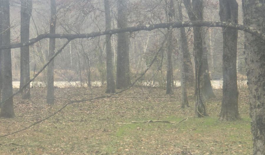 CYPRESS POINT DRIVE lot 12, Akron, AL 36776 - 0 Beds, 0 Bath