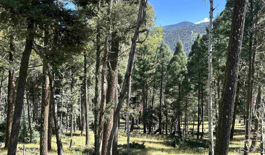 Calle de los Indios lot 26, Angel Fire, NM 87710 - 0 Beds, 0 Bath