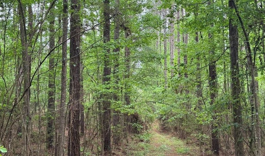 2780 Jackson Liberty Rd, Bogue Chitto, MS 39629 - 0 Beds, 0 Bath