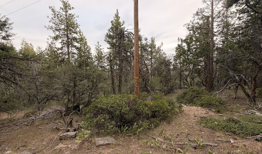 Porpoise Lane 15, Bonanza, OR 97623 - 0 Beds, 0 Bath