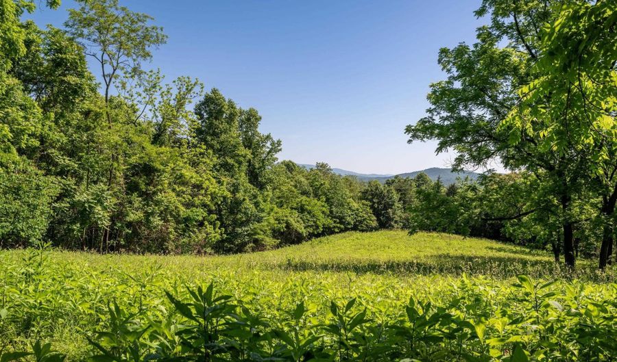 TBD ROCKFISH ORCHARD DR, Afton, VA 22920 - 0 Beds, 0 Bath