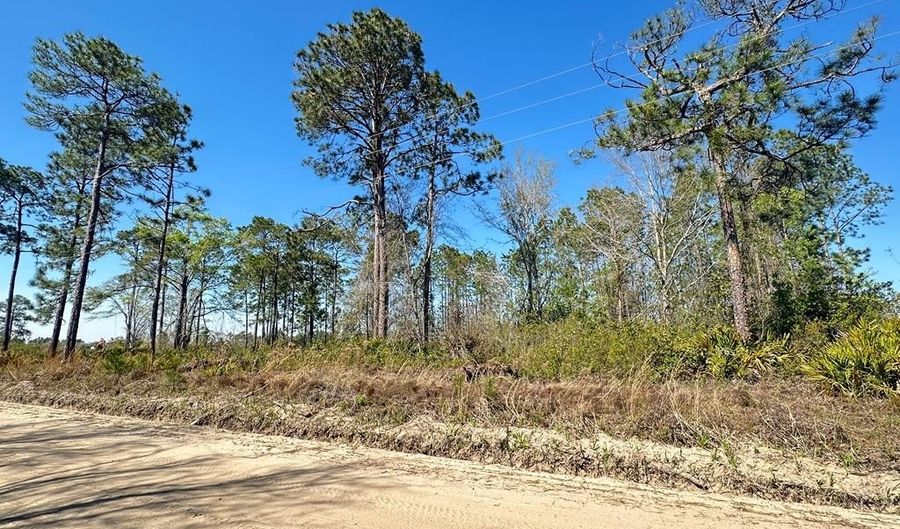 Golf Rd, Baxley, GA 31513 - 0 Beds, 0 Bath