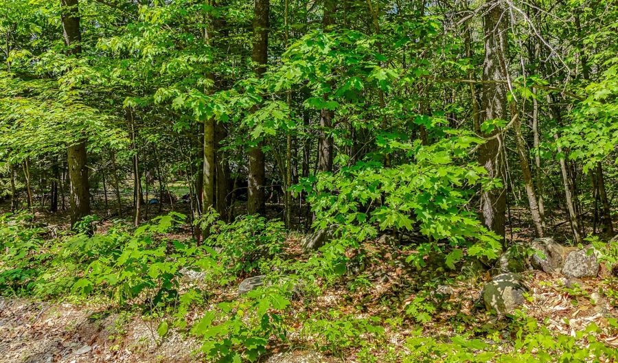 0 Milliken Rd, Parsonsfield, ME 04047 - 0 Beds, 0 Bath